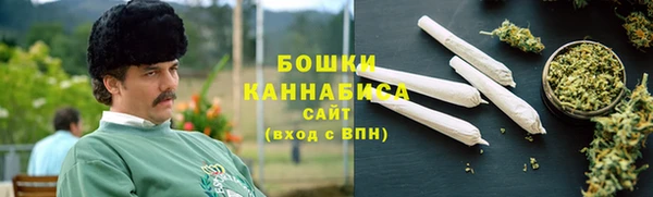 бошки Алексин