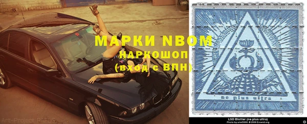 бошки Алексин