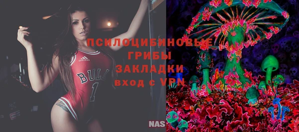 бошки Алексин