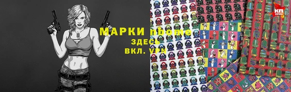 сатива Россошь