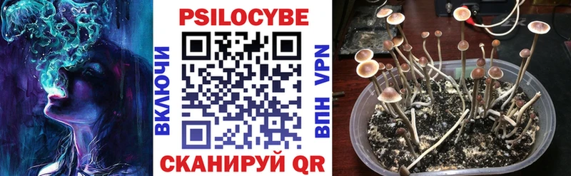 Псилоцибиновые грибы мухоморы  Коркино 